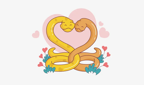 属蛇的和属蛇的结婚好不好 属蛇的和属蛇的合得来吗