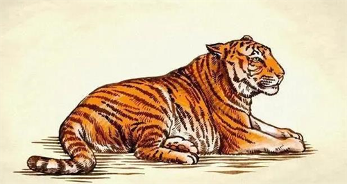 1962年属虎的是什么命 1962年属虎的是什么命五行属性