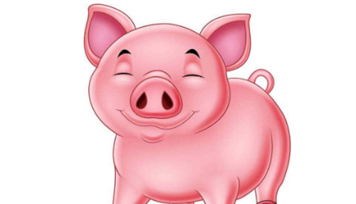 属猪的做什么行业最赚钱 属猪人做什么行业发财
